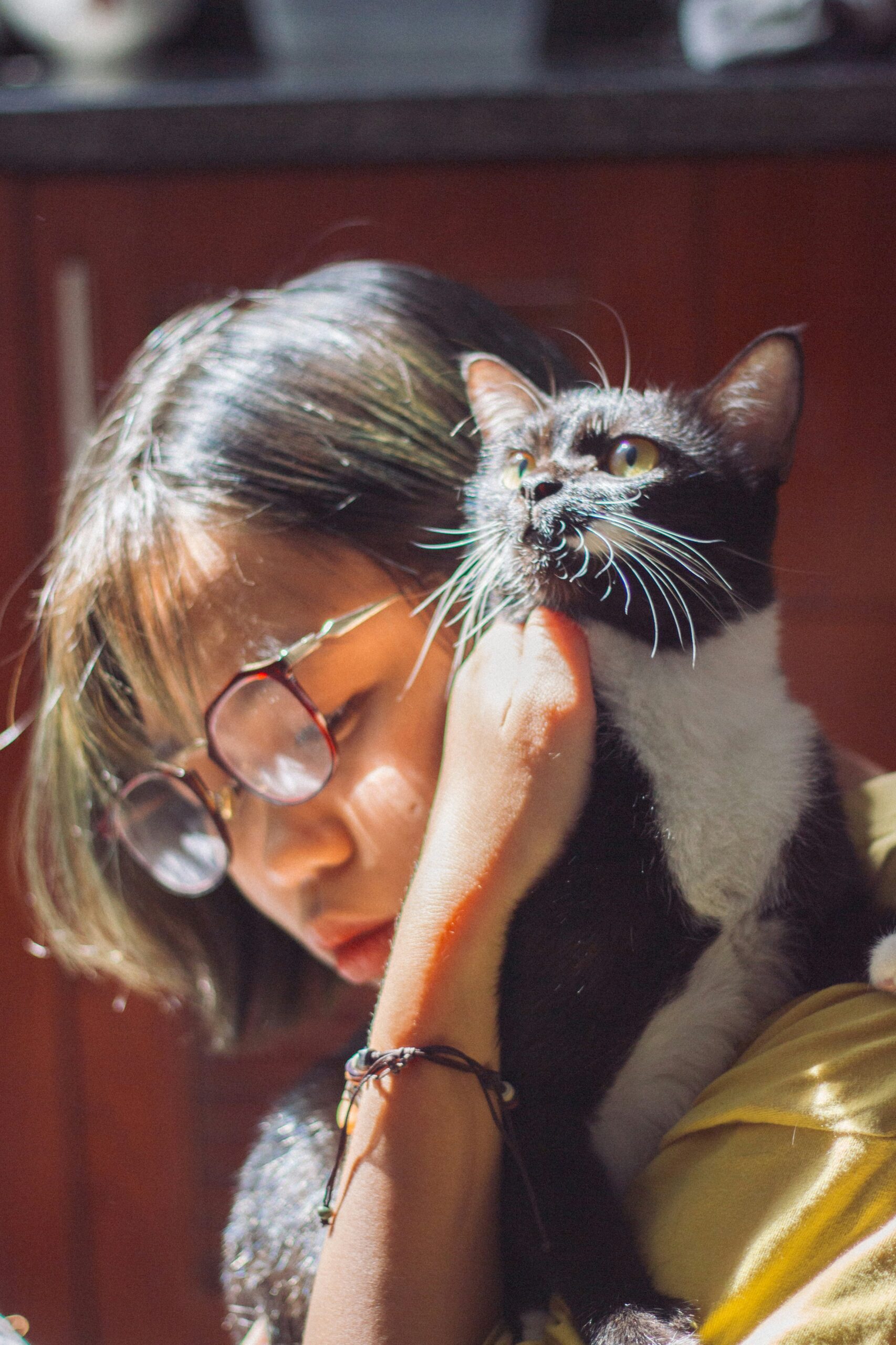 vínculo entre tutor e gato baseado em confiança