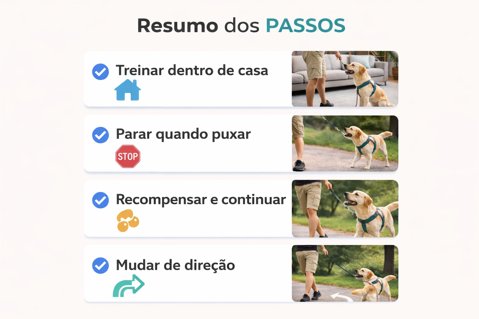 Infográfico com checklist dos passos para ensinar cachorro a andar sem puxar na guia