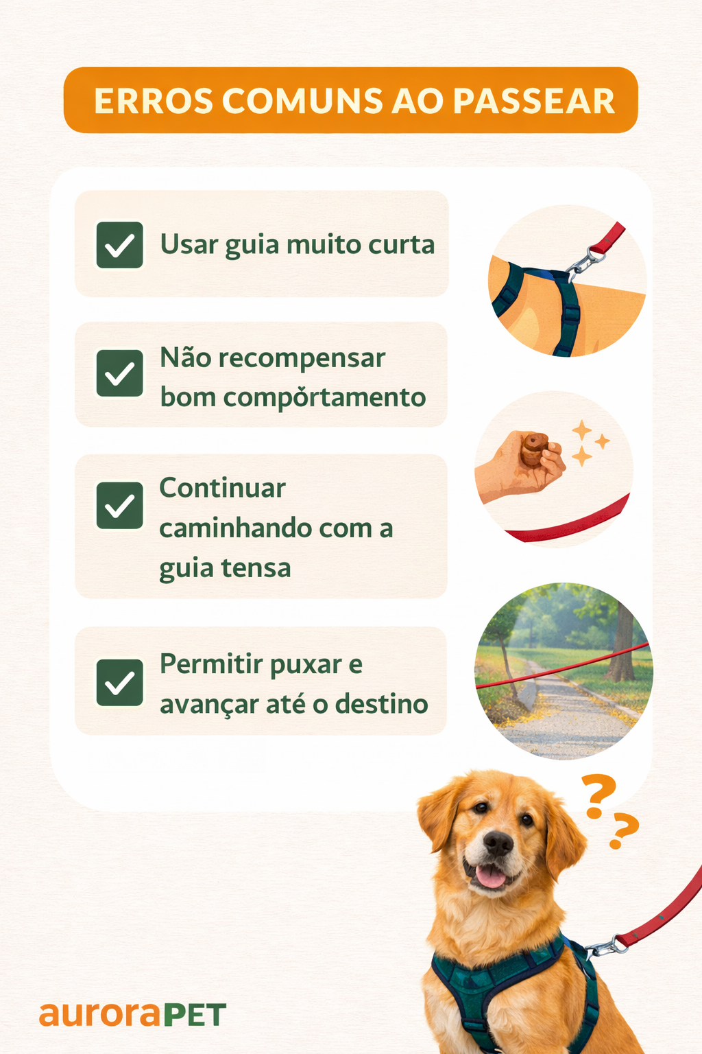 Infográfico mostrando erros comuns ao passear com cachorro e puxar a guia