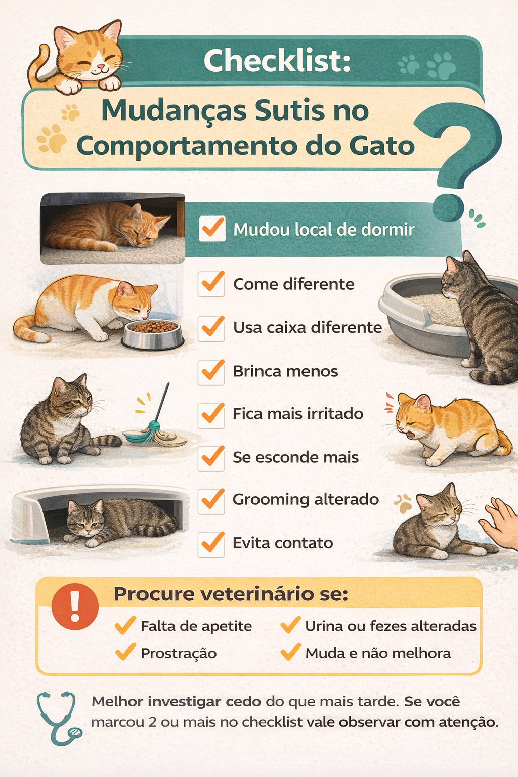 Checklist visual com 8 sinais de mudanças sutis no comportamento do gato e orientações sobre quando procurar veterinário