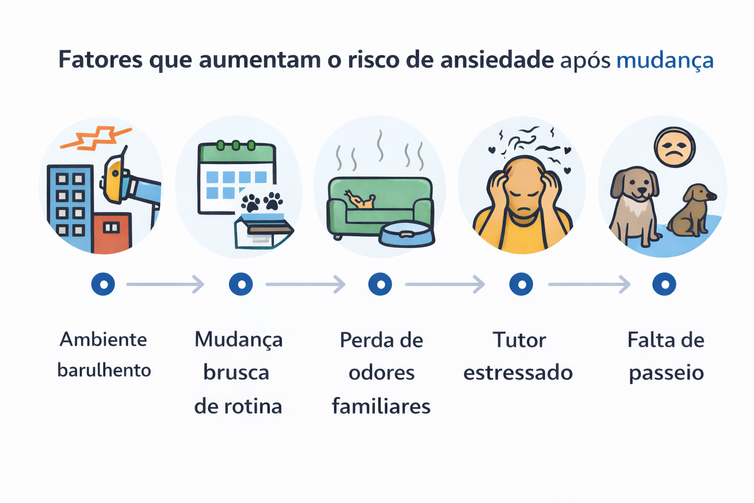 Infográfico mostrando fatores que aumentam a ansiedade do cachorro após mudança, como barulho, rotina alterada, perda de odores, tutor estressado e falta de passeio
