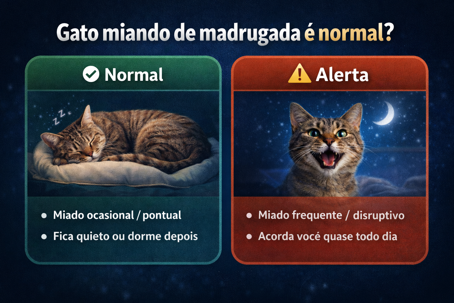 Comparação visual mostrando quando o miado do gato de madrugada é normal e quando é sinal de alerta