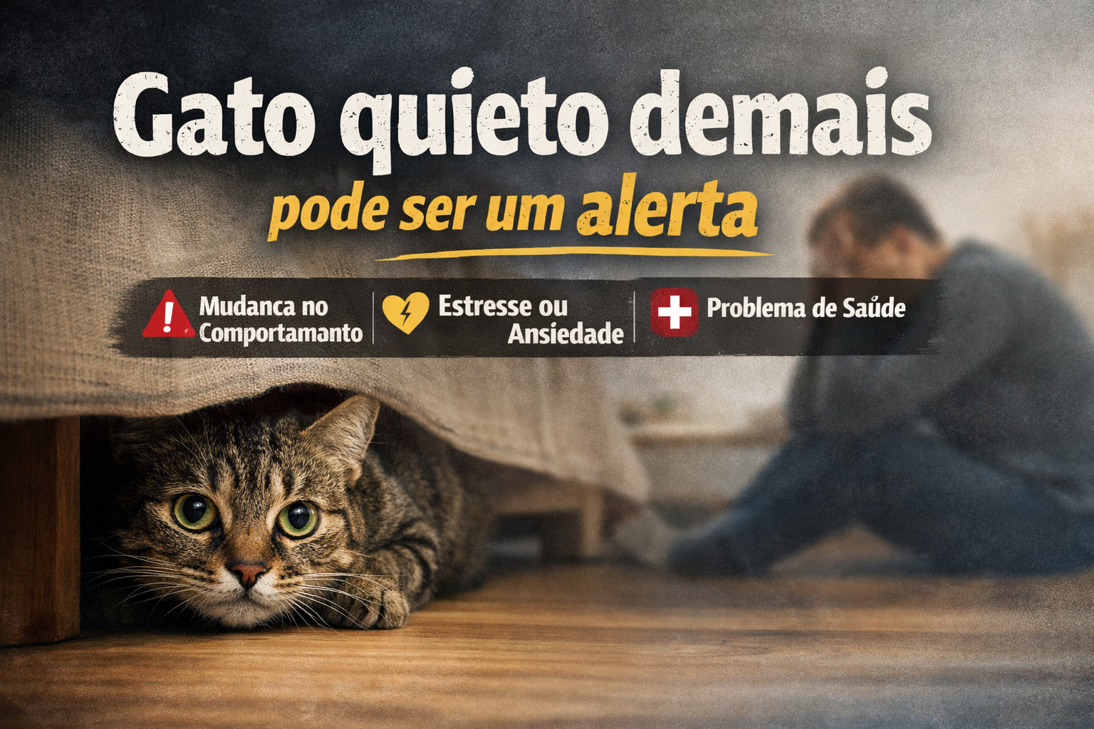 Gato isolado e quieto olhando para o nada dentro de casa, possível sinal de estresse ou problema de saúde. Gato quieto demais.