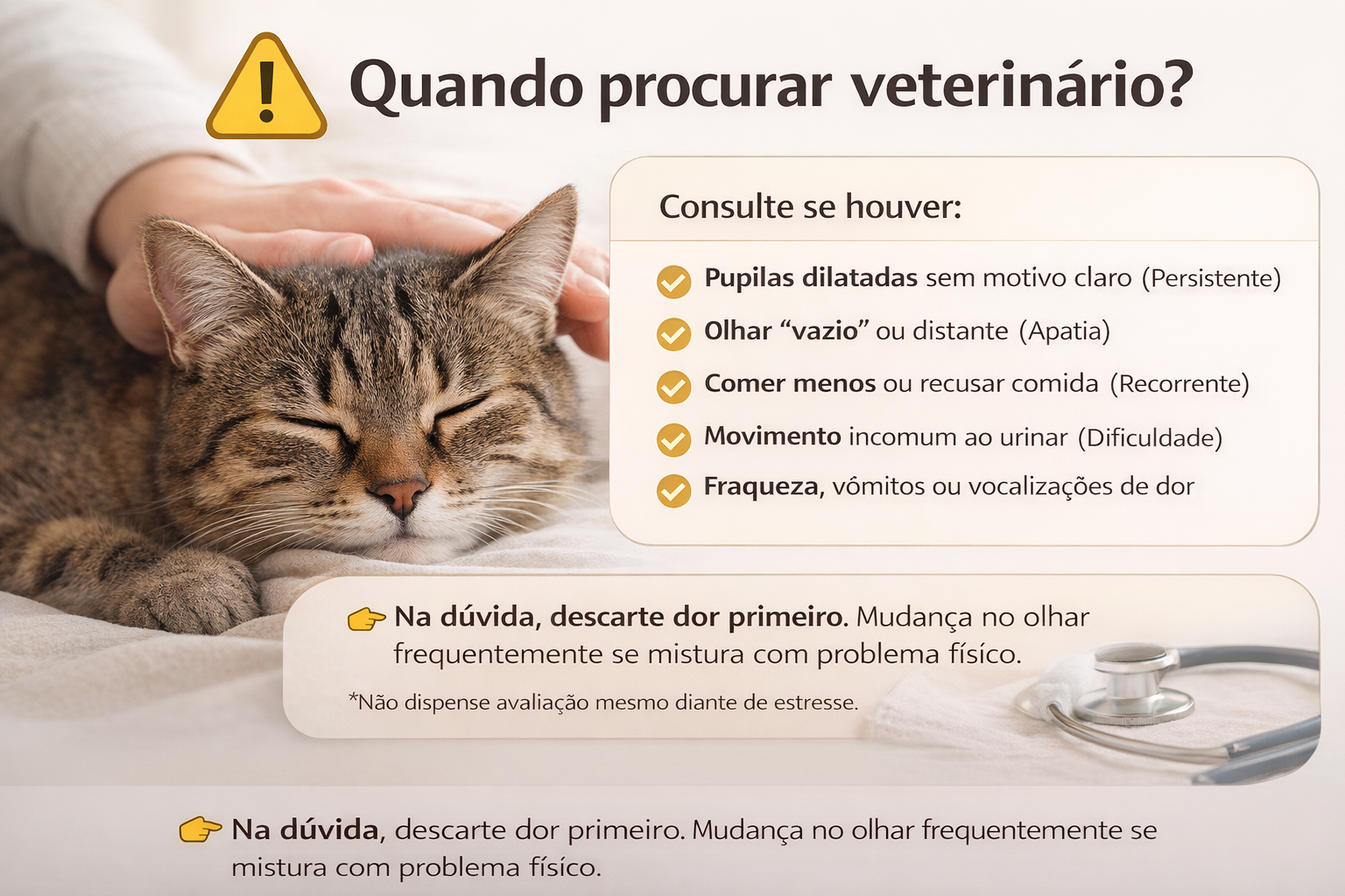 Infográfico mostrando quando procurar veterinário para gato com pupilas dilatadas persistentes, olhar vazio, apatia ou mudança de apetite